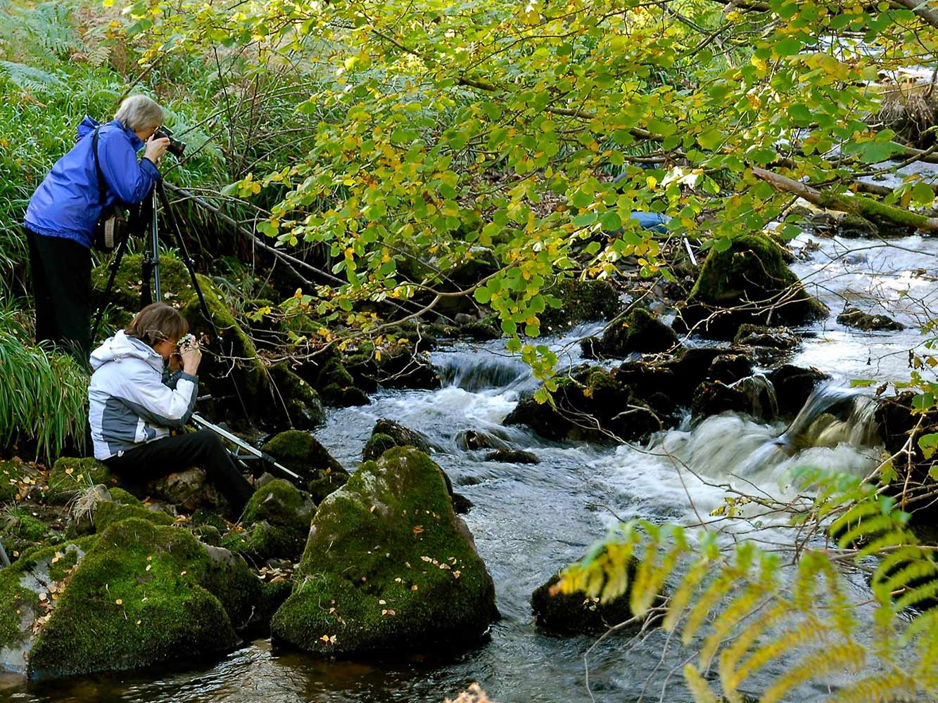 Photography | Intermediate Photography | Intermediate