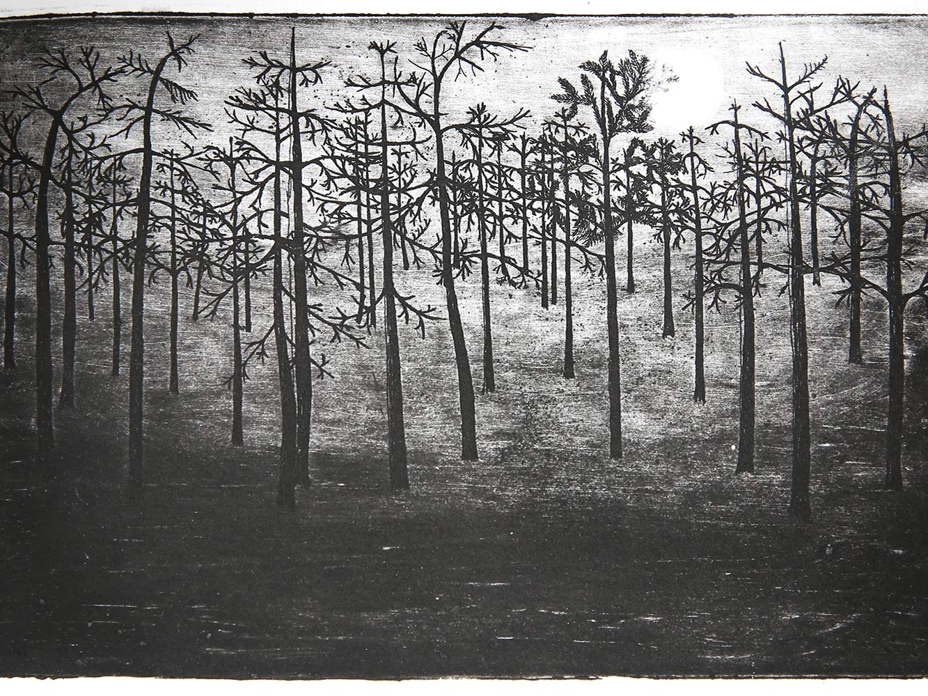 Printmaking | Intermediate Printmaking | Intermediate