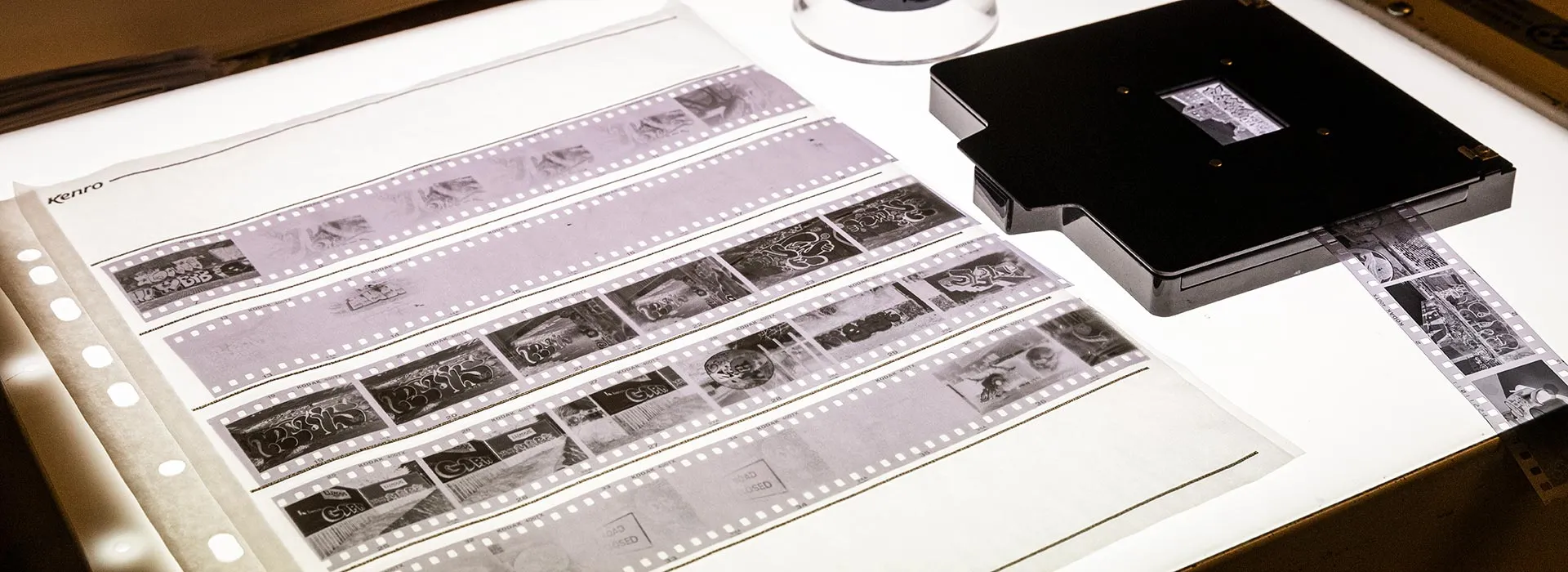 film negatives on a light box