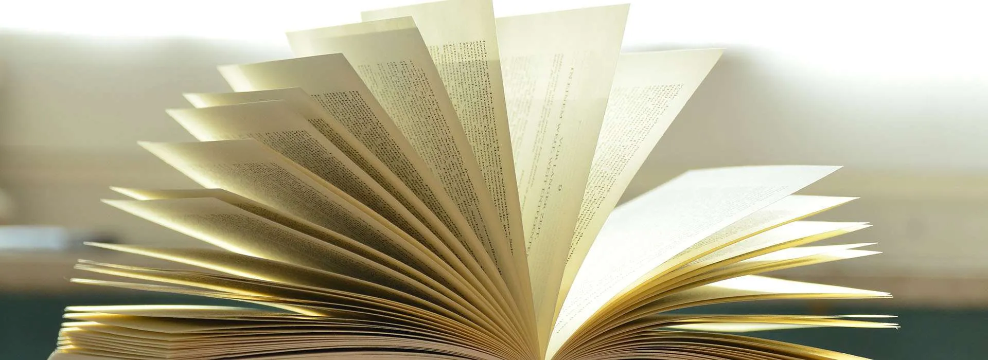 book sitting open with pages splayed