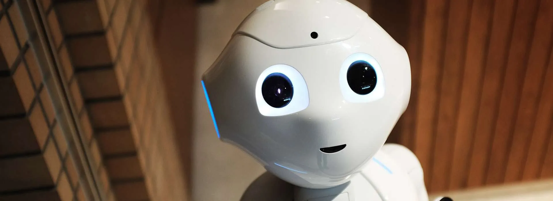robot looking up