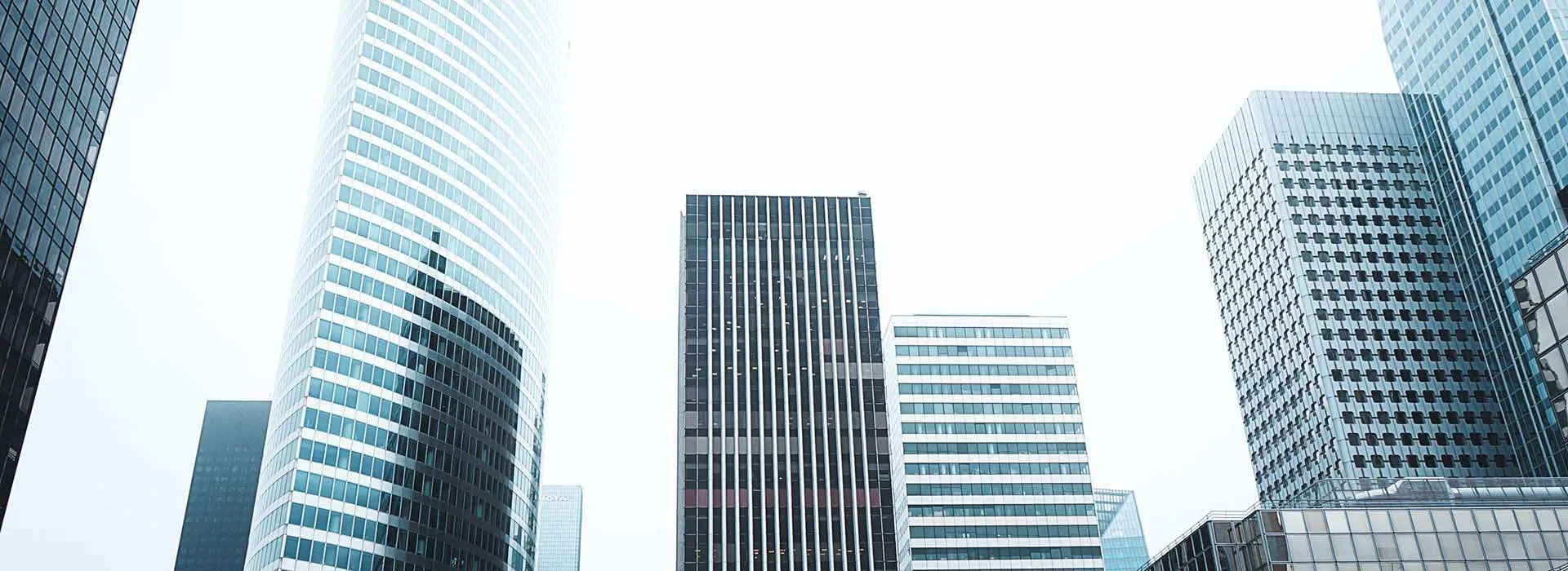 city skyline with lots of tall buildings