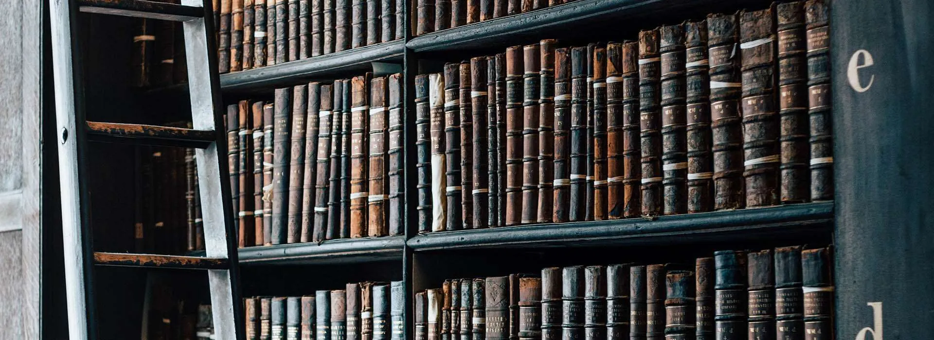library shelf of old books with ladder