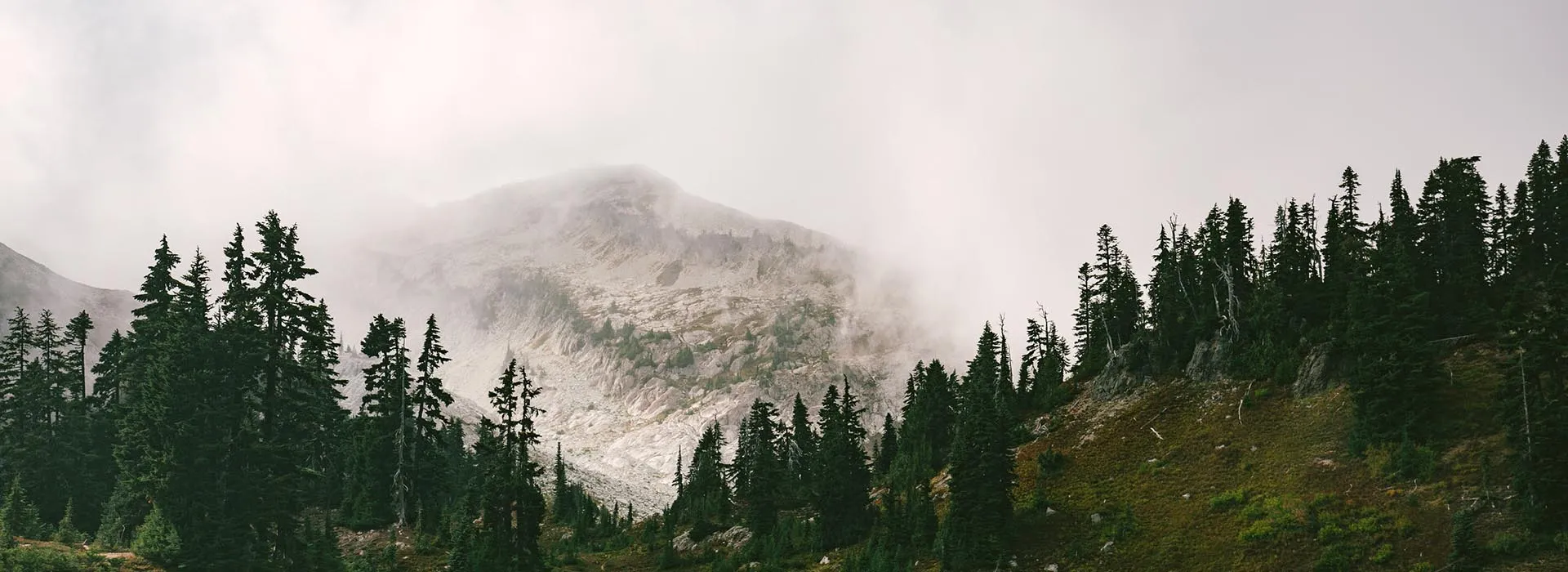 Biodiversity Education and COIL