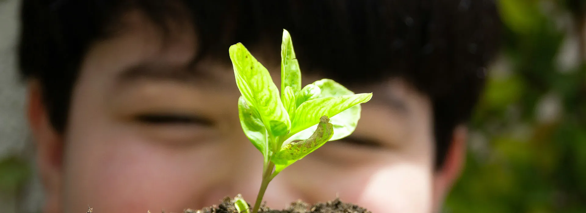 Person looking at some leaves