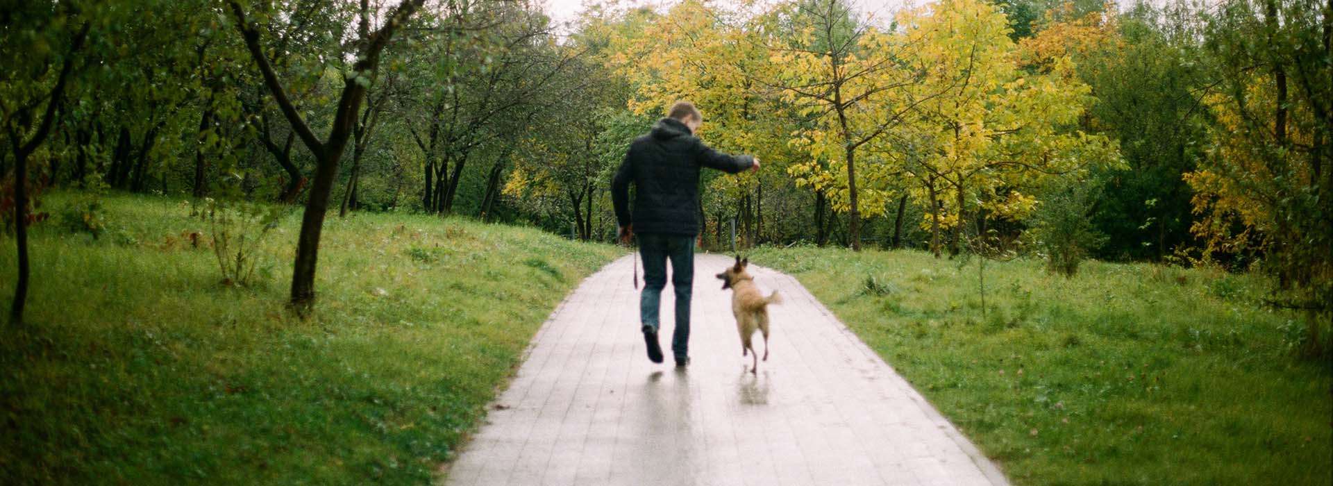 dog and man walking