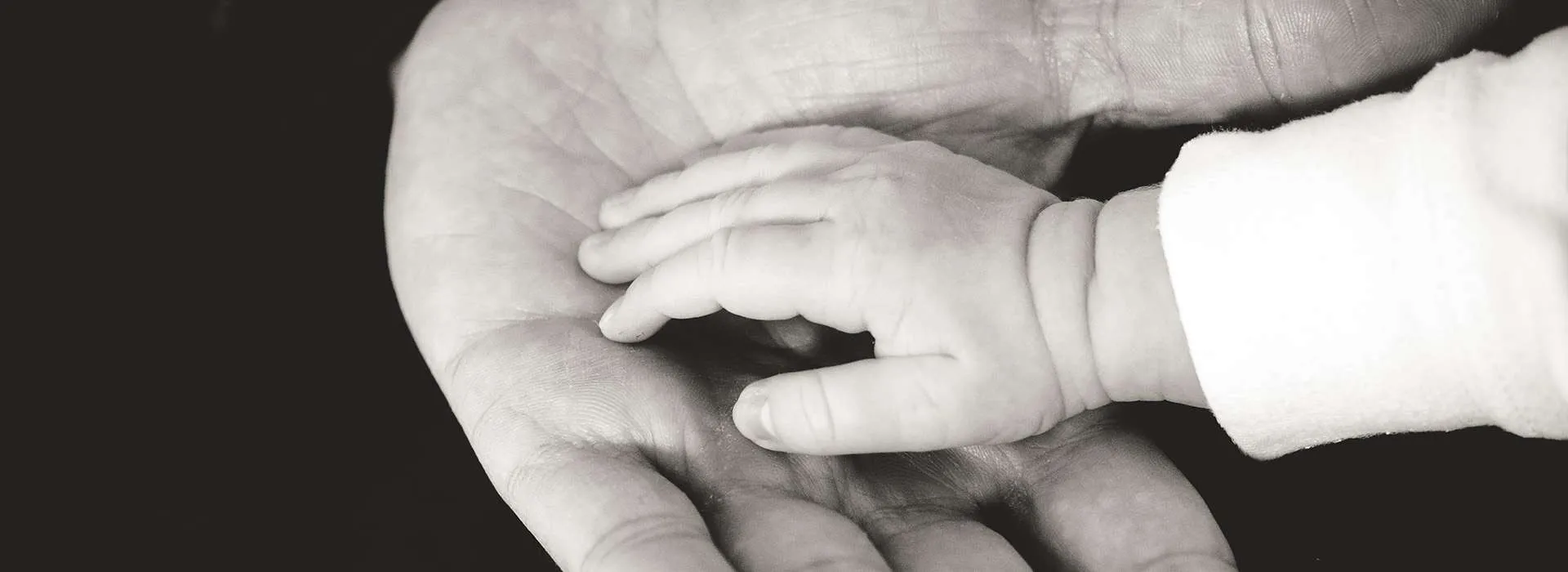 baby's hand in an adult's hand