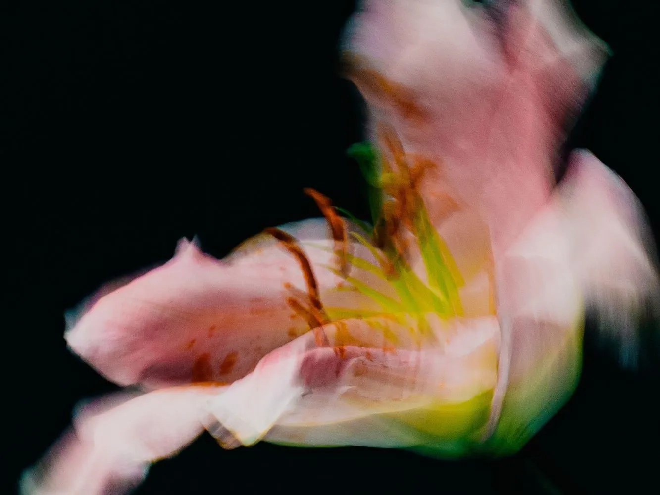 Annie Dyer - BA (Hons) Photography