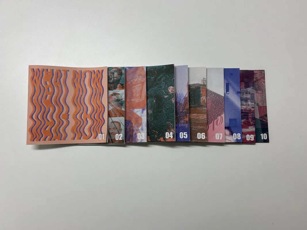 The Zines lined up on a table