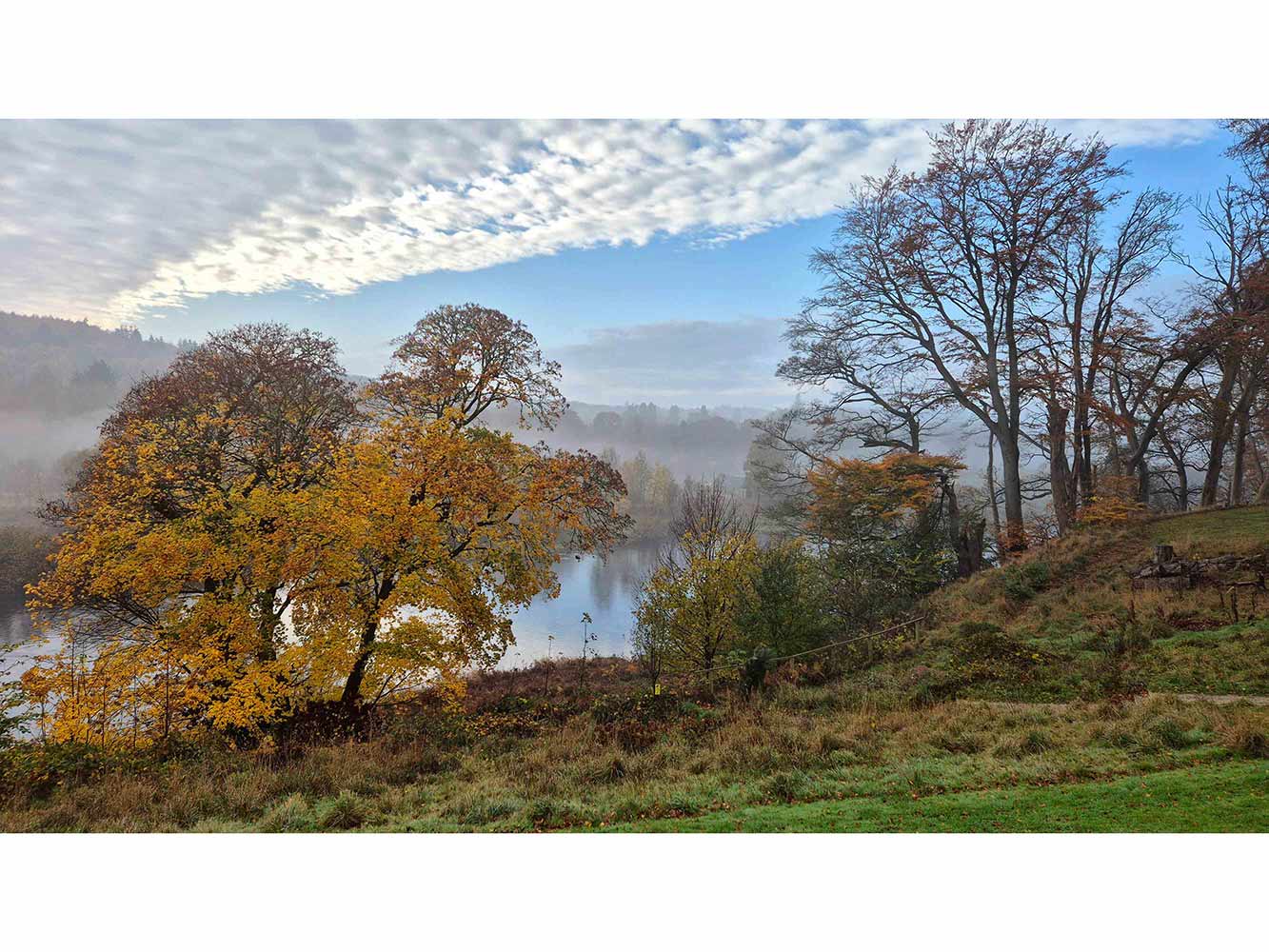 Winner - Sofya Ismayilova river dee and trees at RGU campus