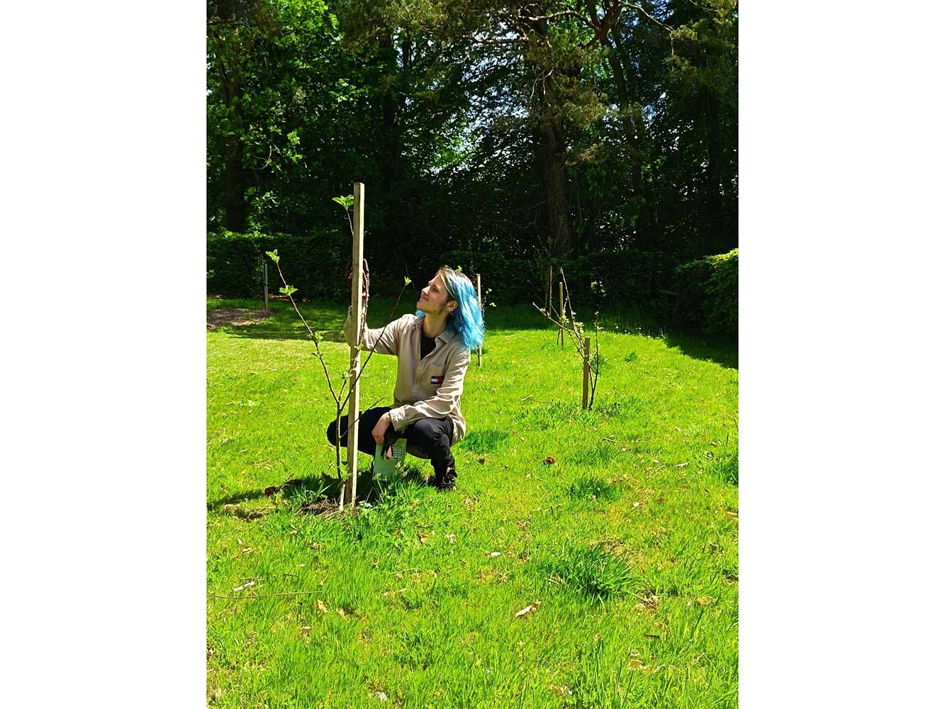 Rehoming Cloiserseat Orchard person in the grass holding a plant