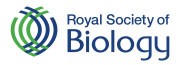 RSB-logo180