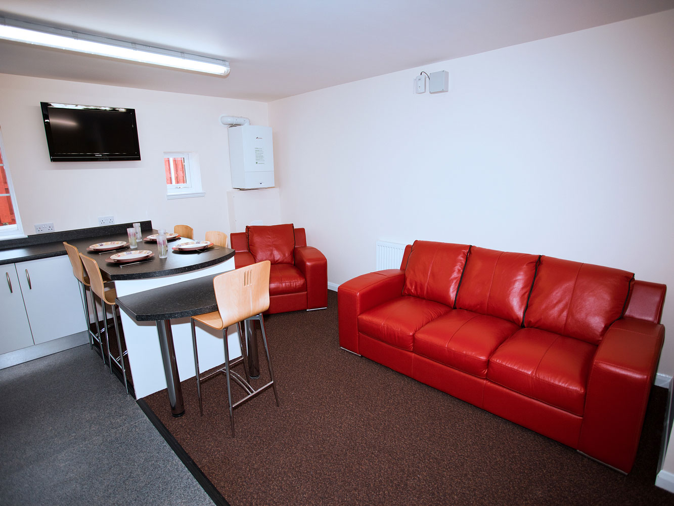 lounge area with two sofas, television and dining space