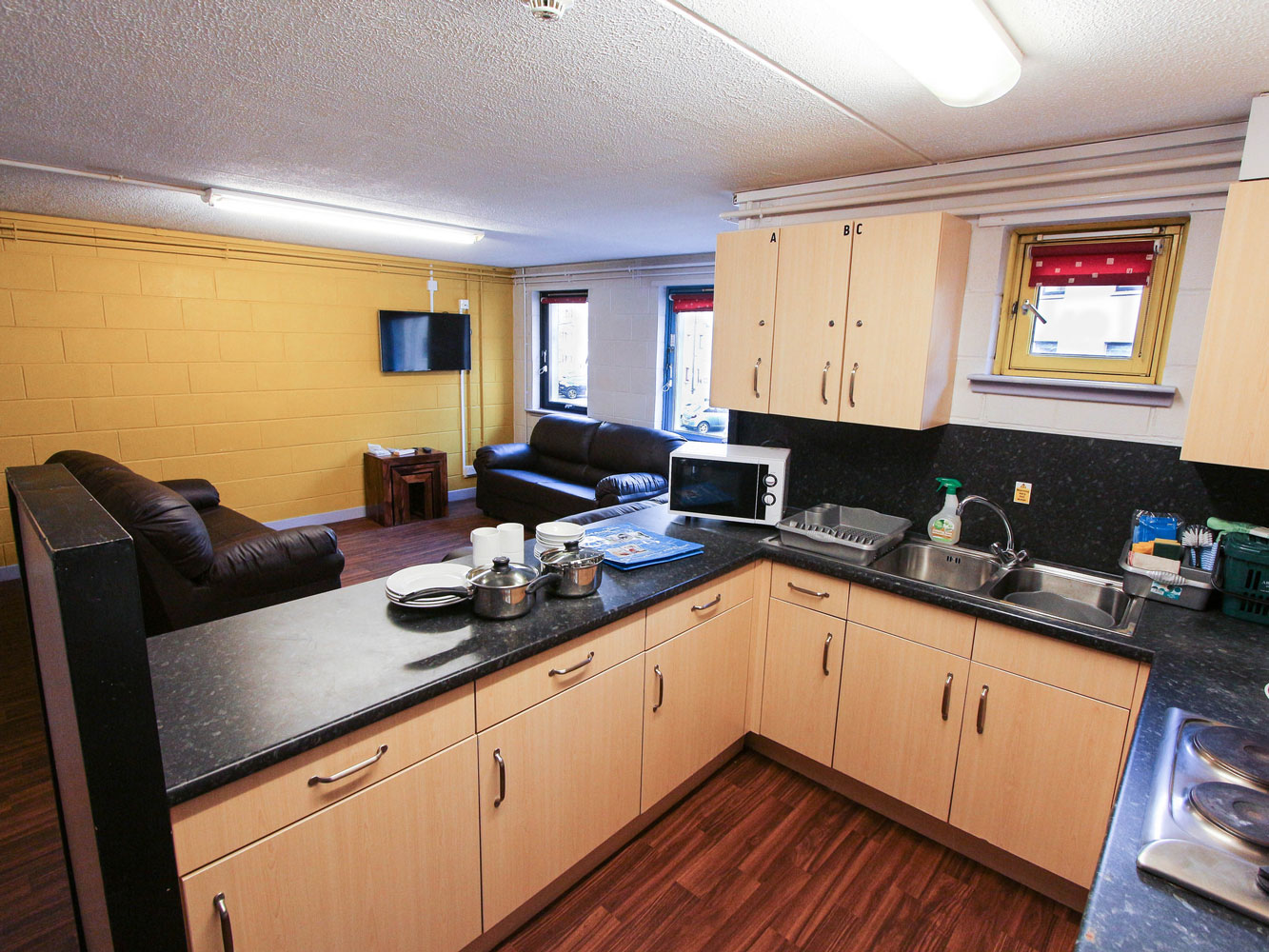 kitchen and lounge areas with kitchen appliances and utensils, sofas and television