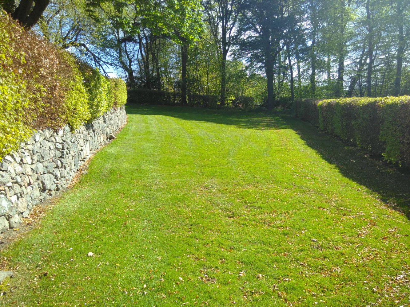 Garden space with hedges, stone wall and trees