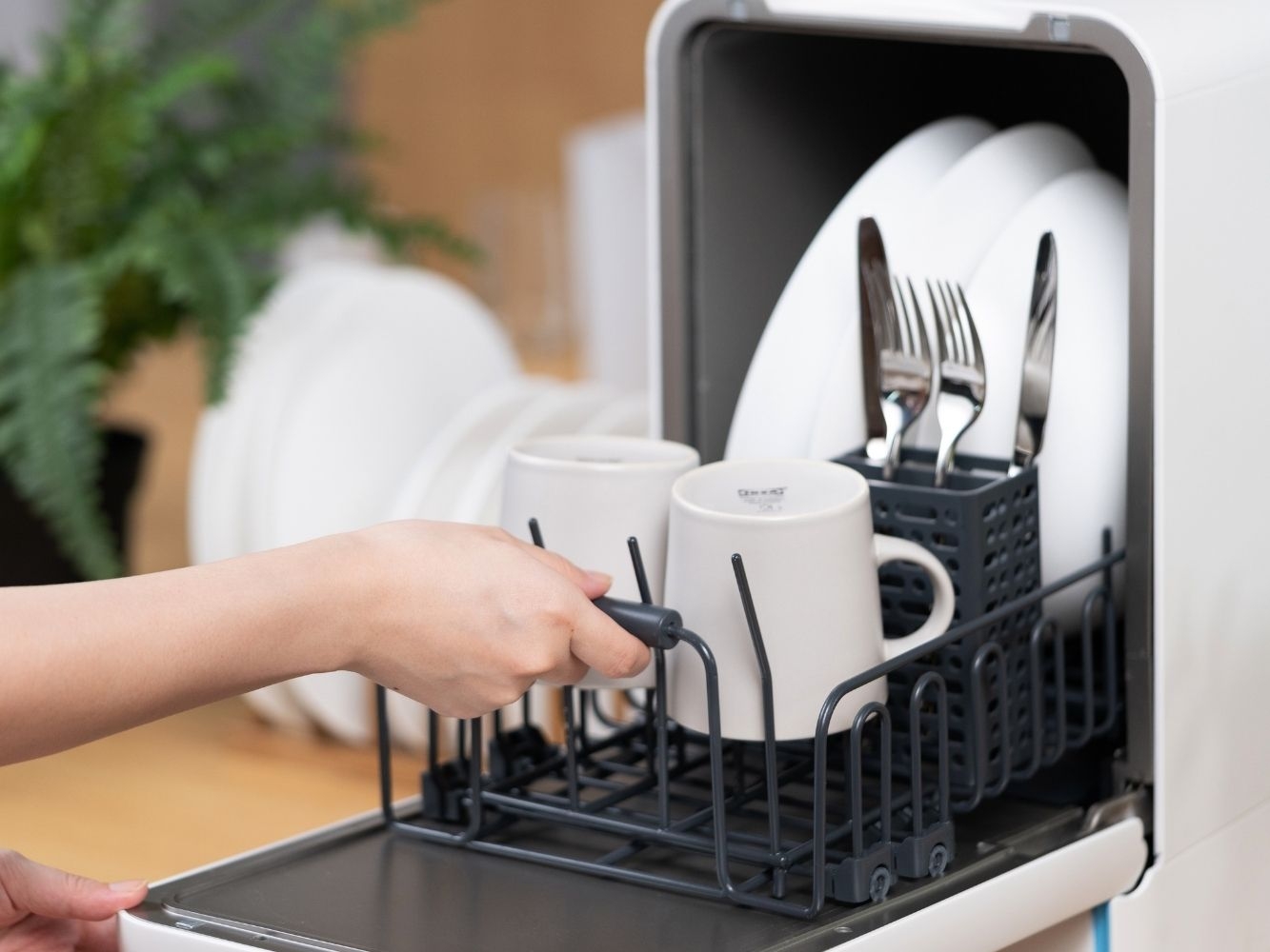 Mugs, cutlery and plates being loaded into the Capsule Dishwasher