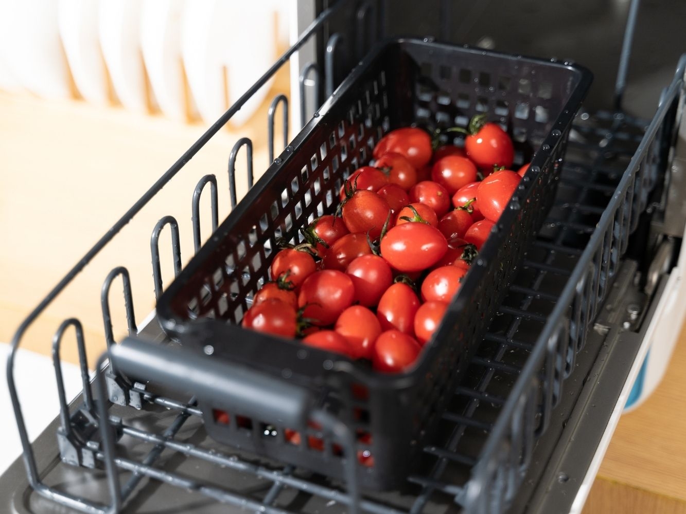 Tomatoes inside the World's Smallest Dishwasher