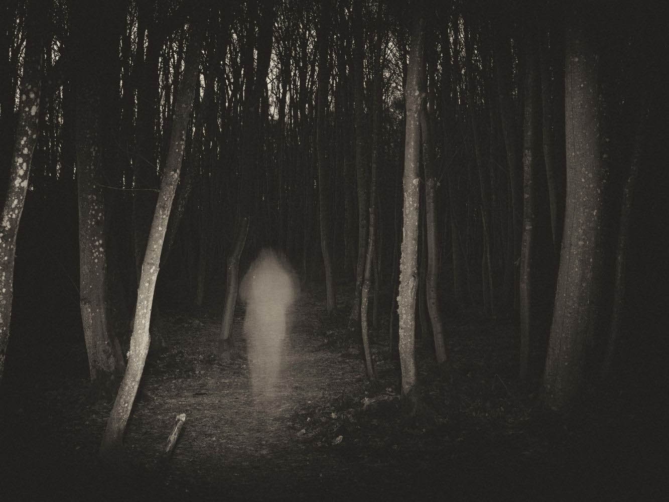 Woodlands at night with shadowy figure surrounded by trees