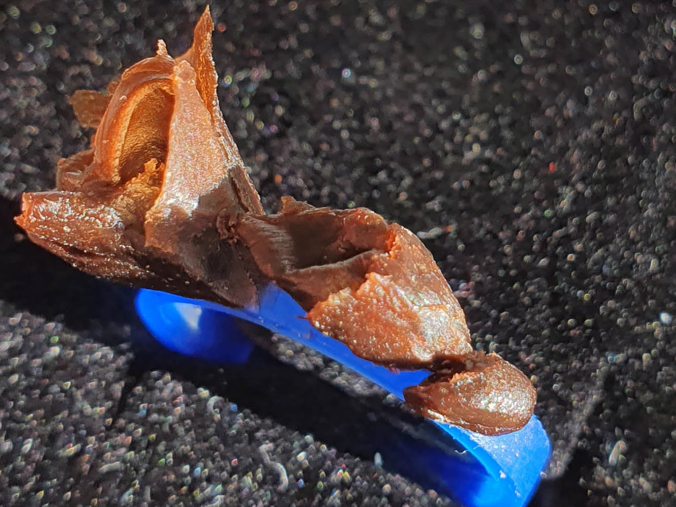 Wax rendering of rose shaped ring