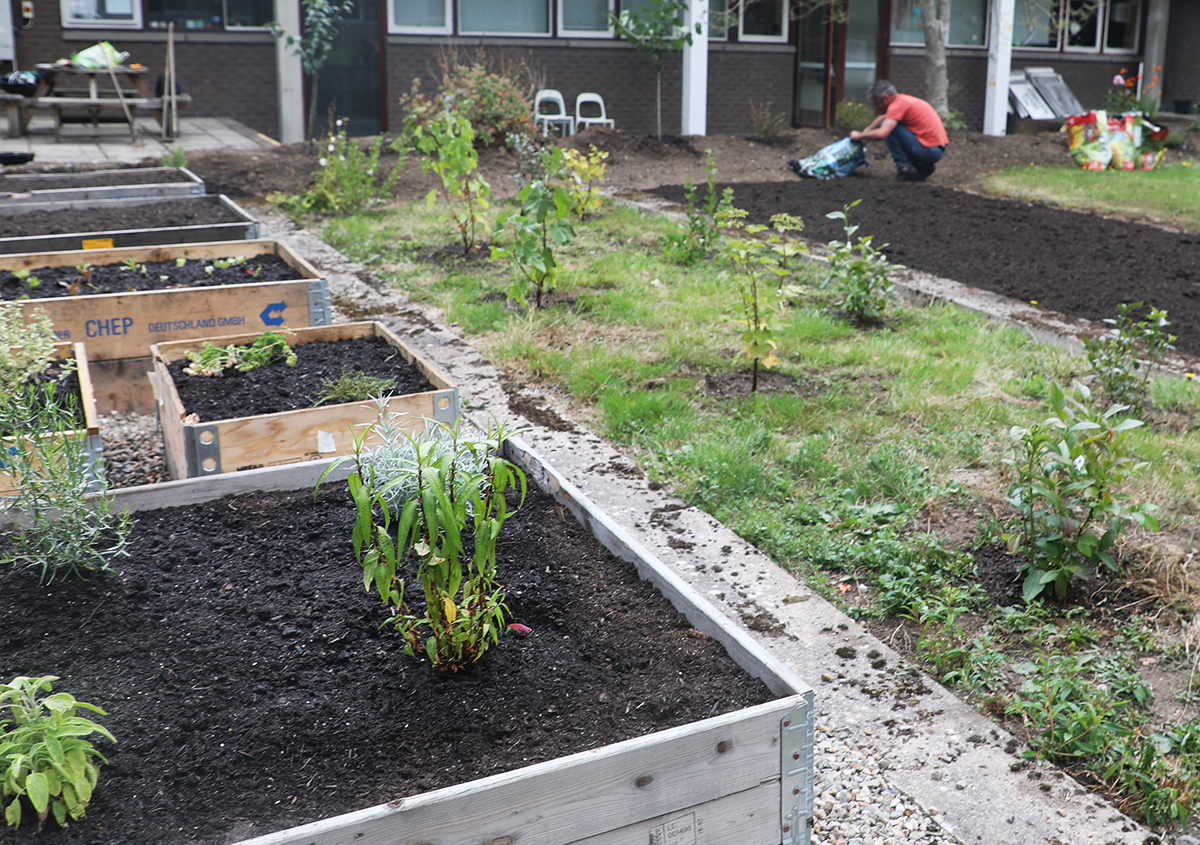 Garden with various planters and patches of grass at RGU campus