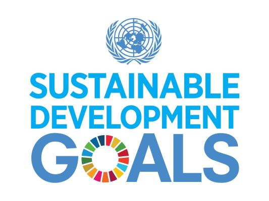 UN Sustainable Goals logo