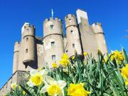 Braemar-Castle-Project-6