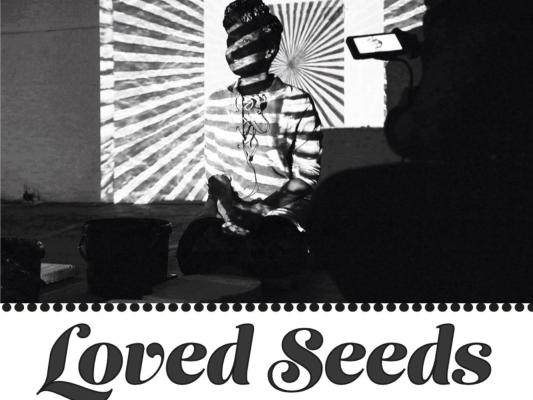 Loved-Seeds-Joomla-4-26-04-23