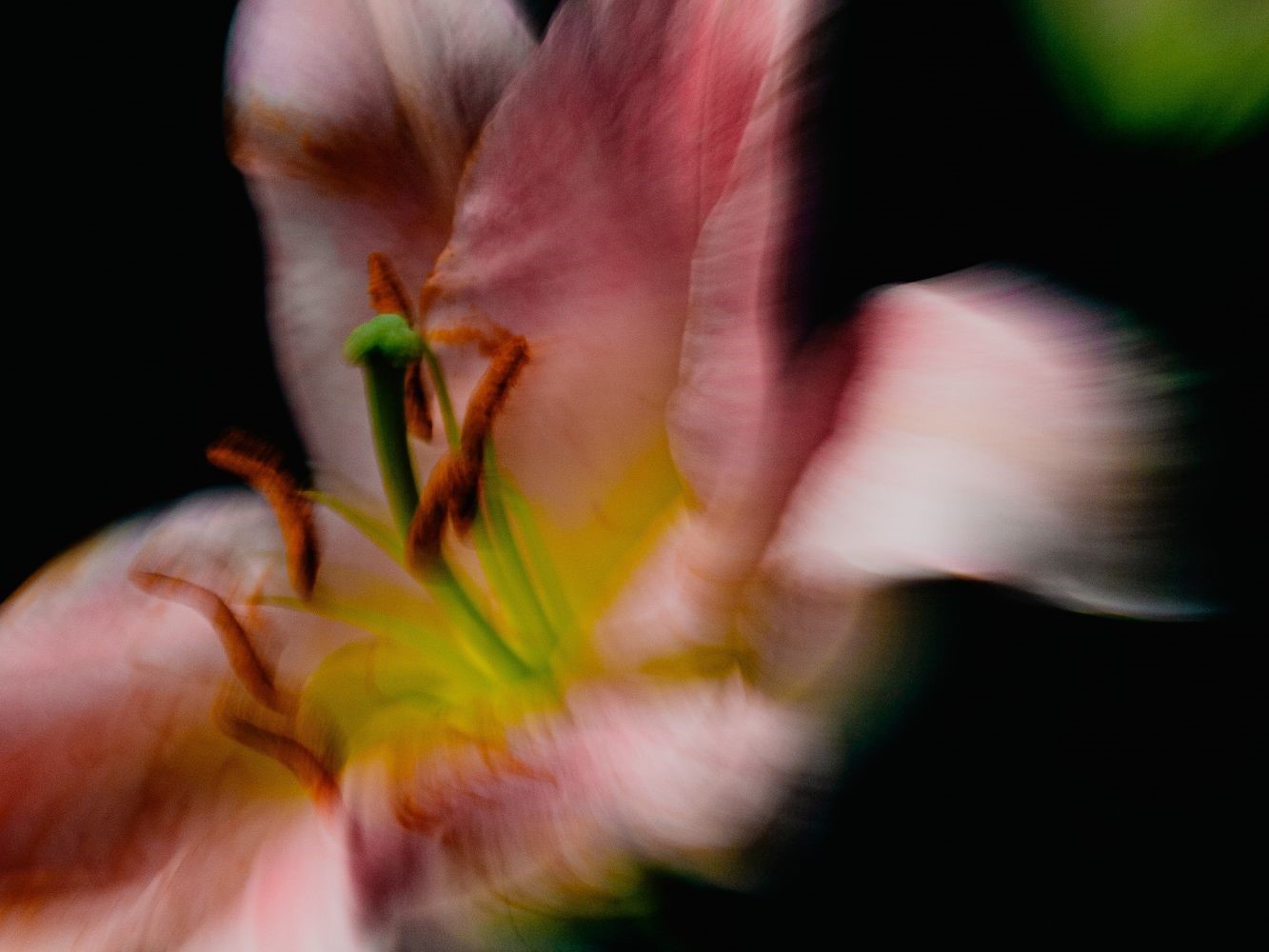 Annie-Dyer-2-Joomla---Photography-graduate-