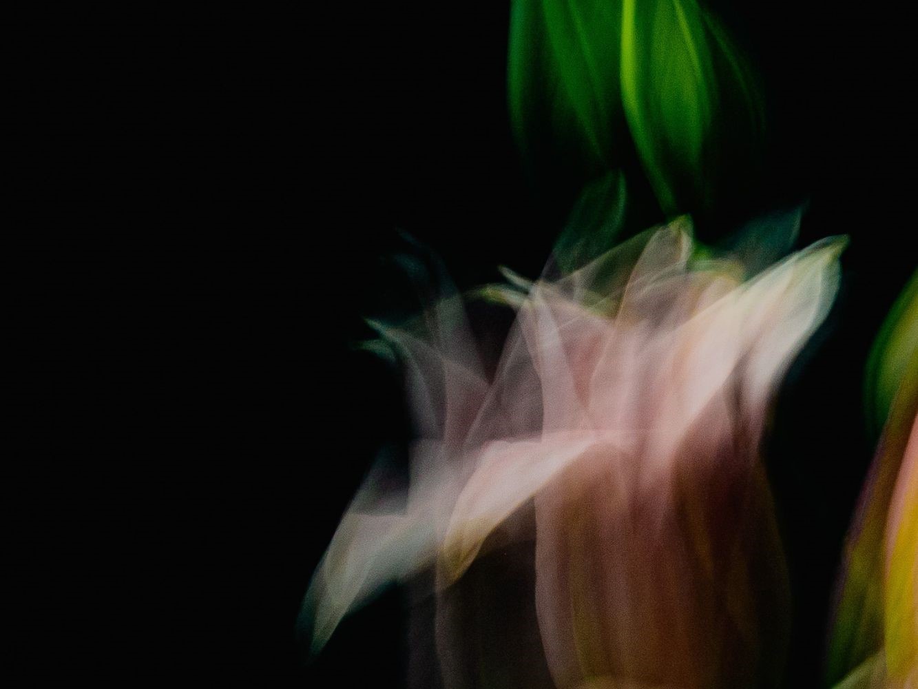 Annie-Dyer-5---Joomla-Photography-student