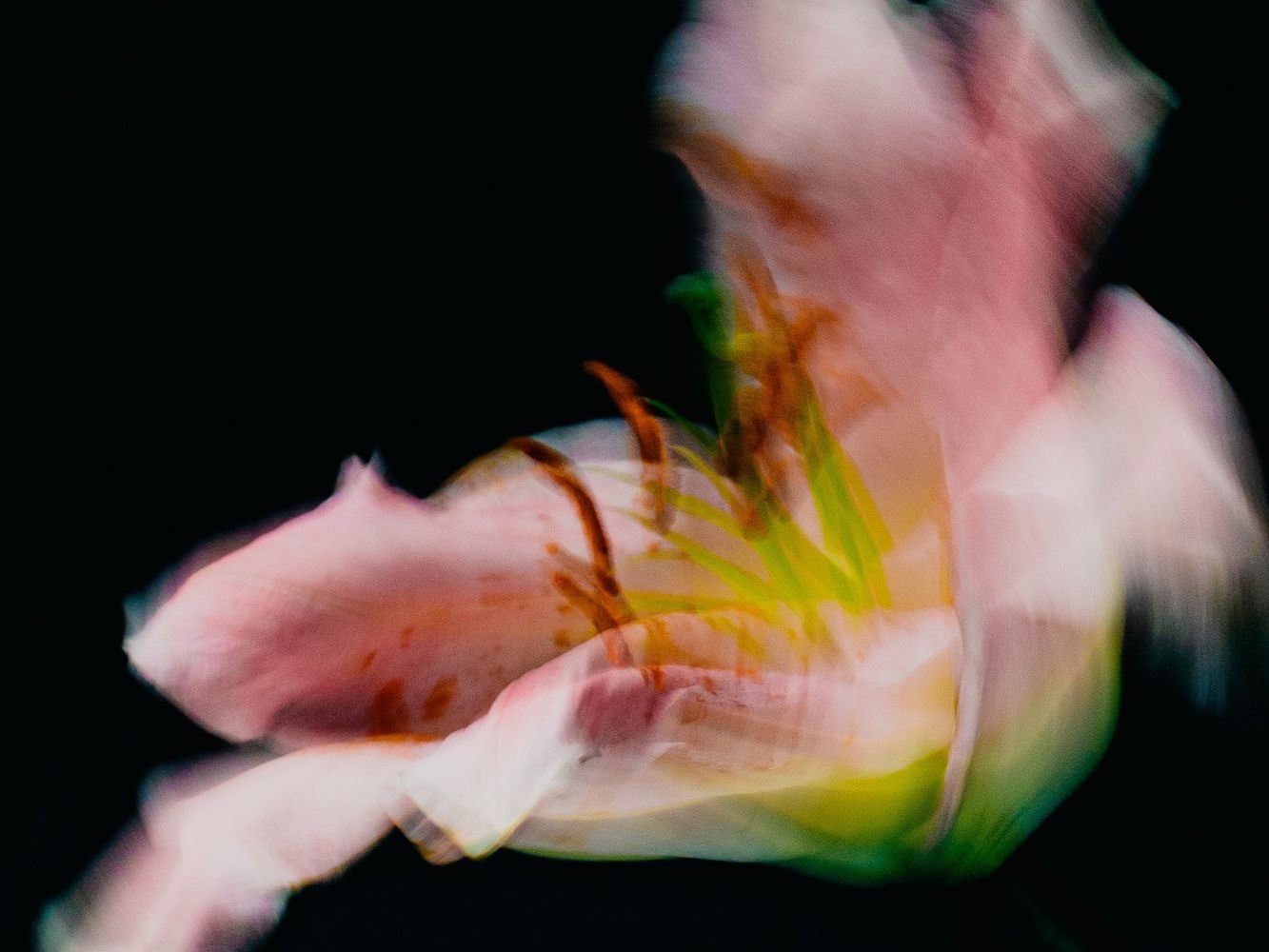 Annie-Dyer-Joomla-30-05-23---Photography-BA-Hons-