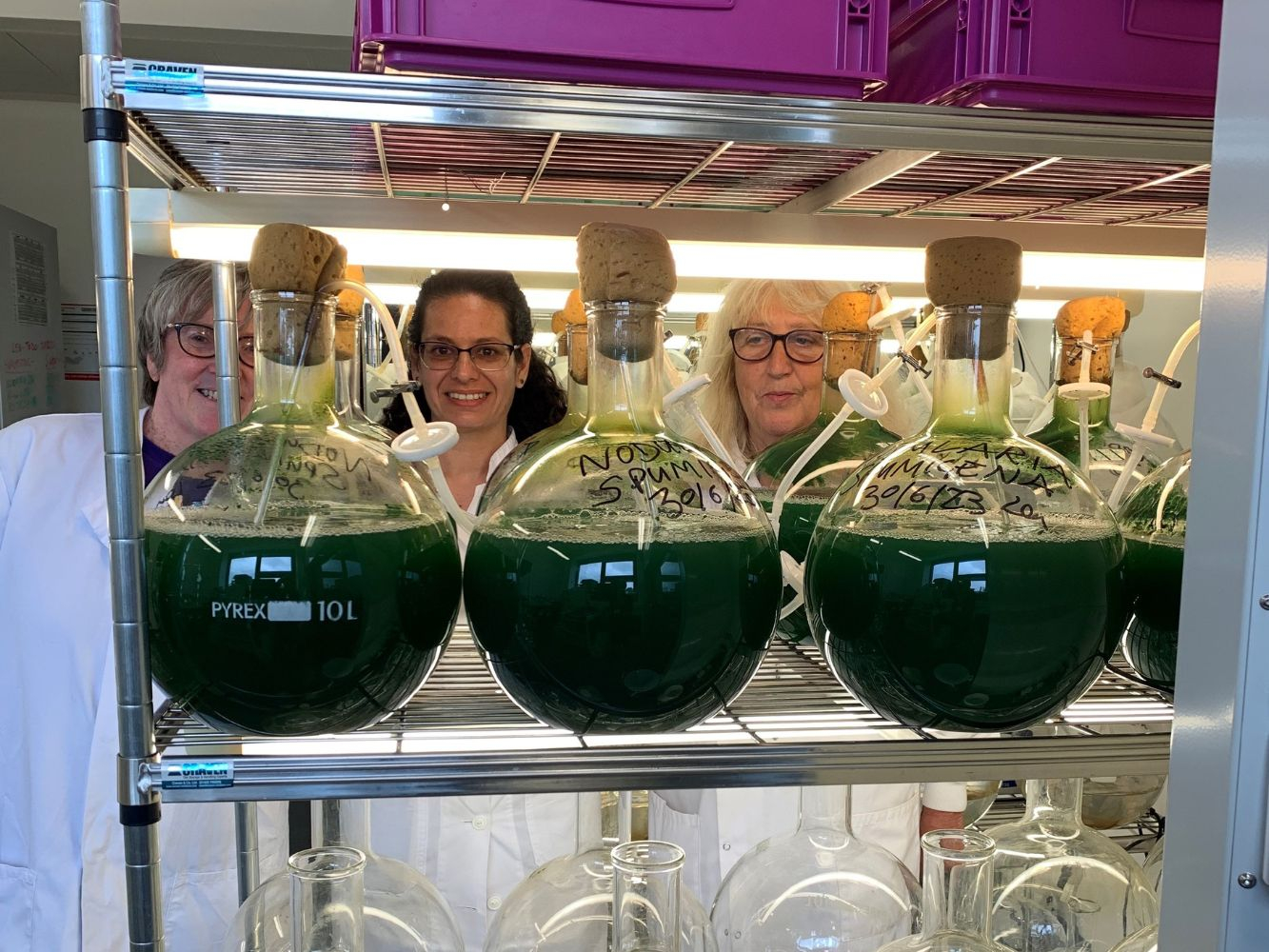 Linda and Christine with their research colleague