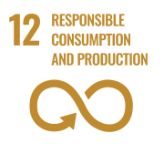 SDG 12 icon SDG-12---Responsible-consumption-and-production