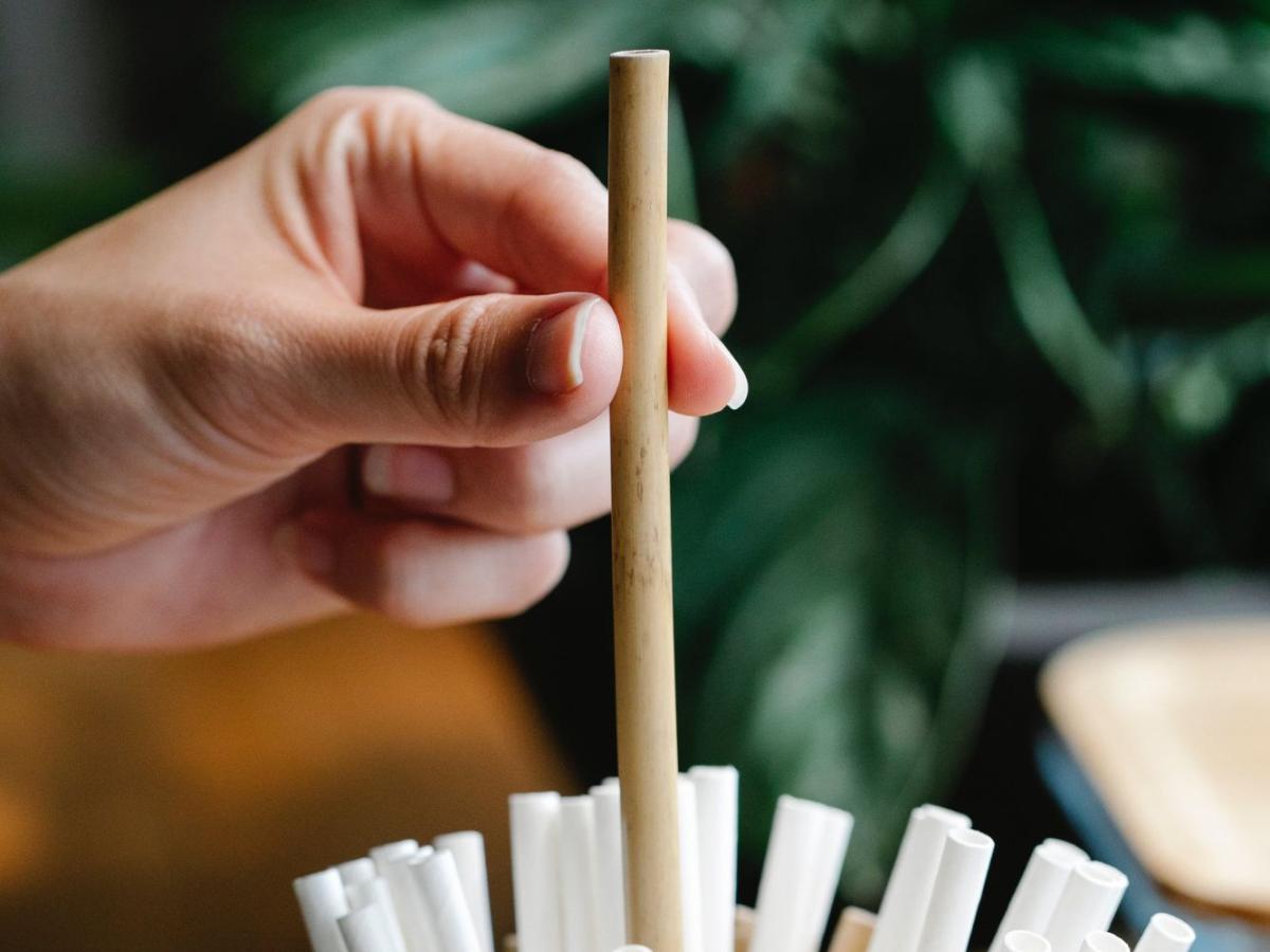 20240214-Bamboo-Straw