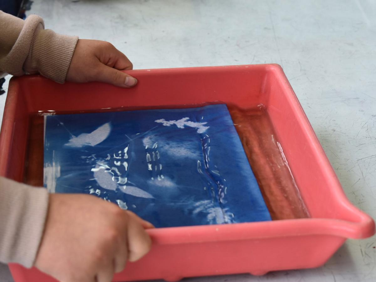 AWITLOAS-cyanotype