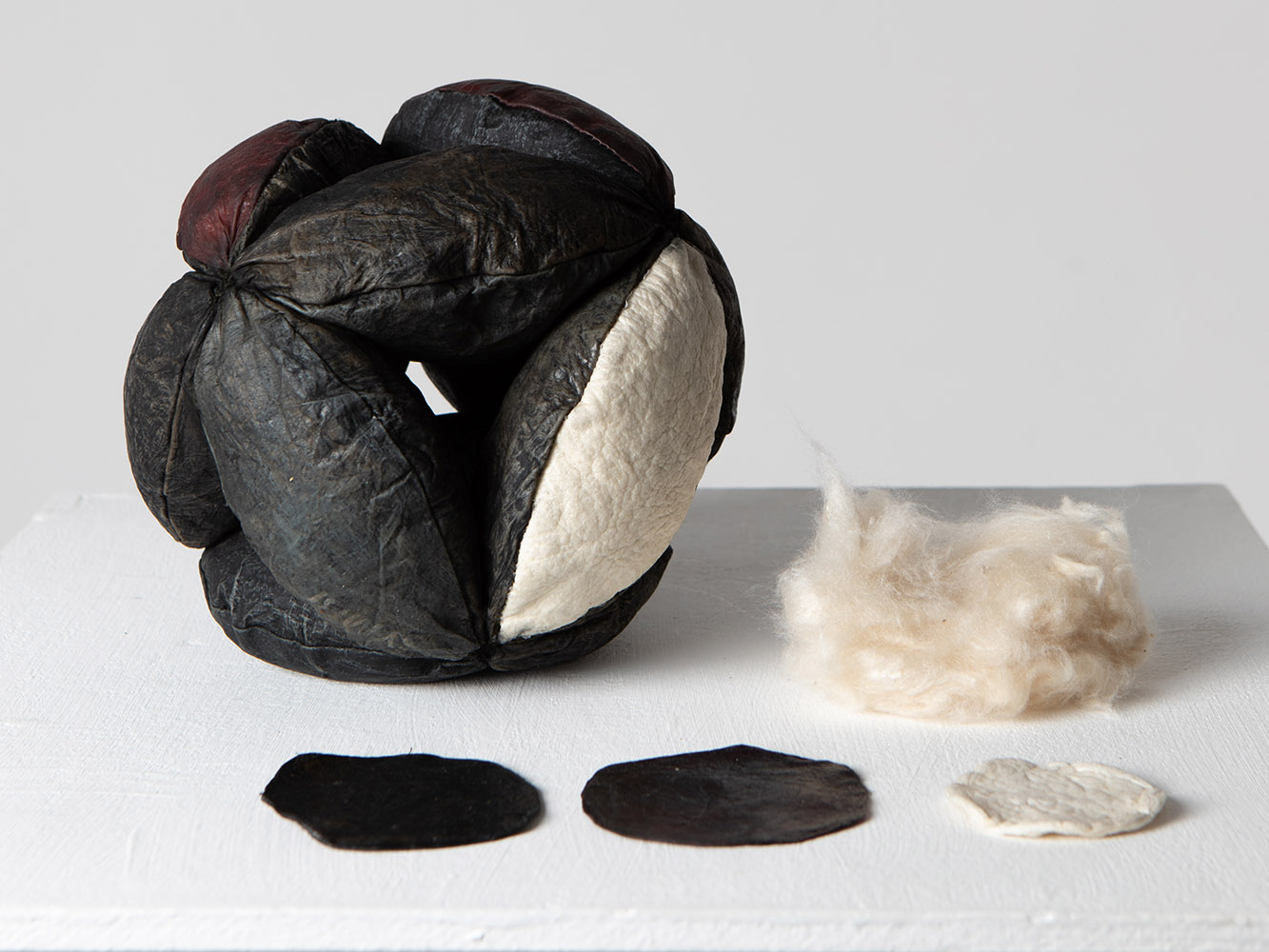Weronika's artwork depicting bio leather