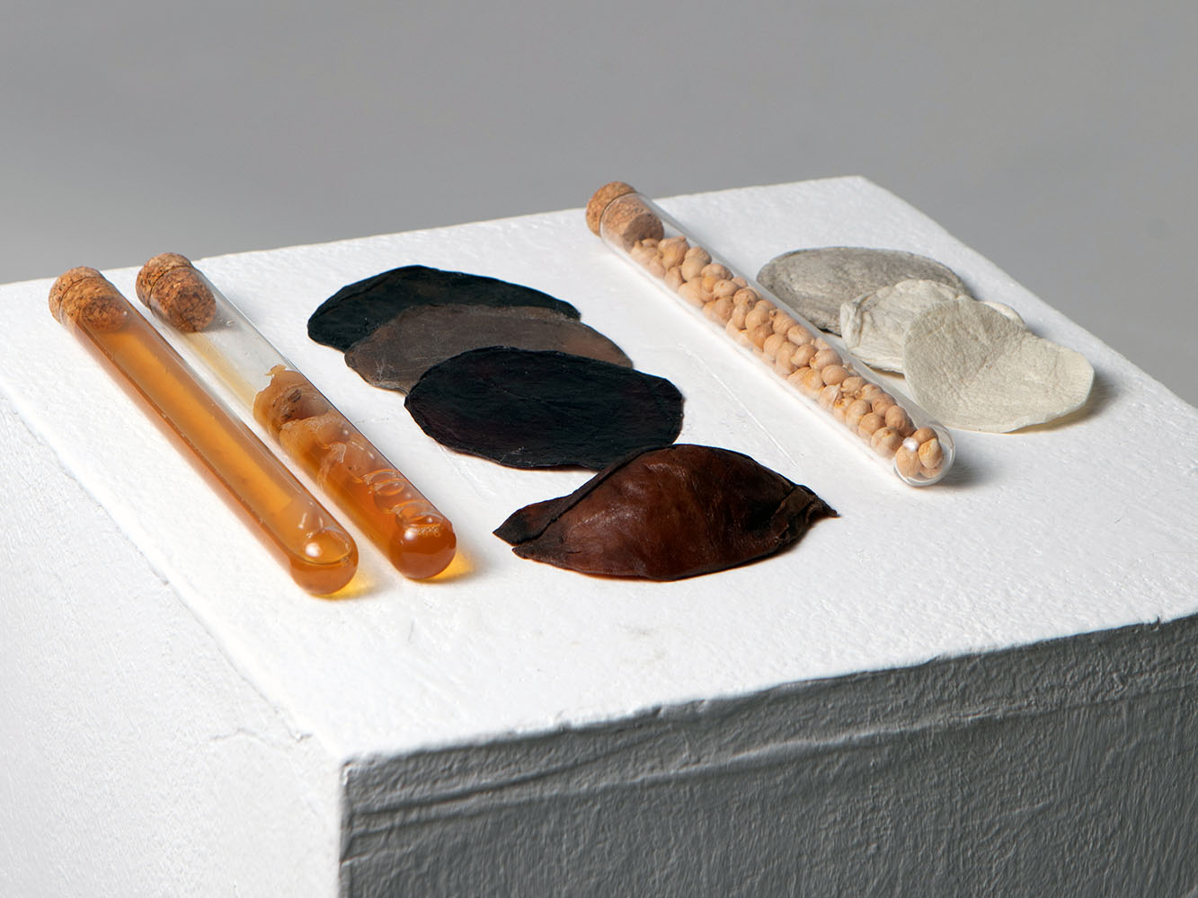 samples of bio leather