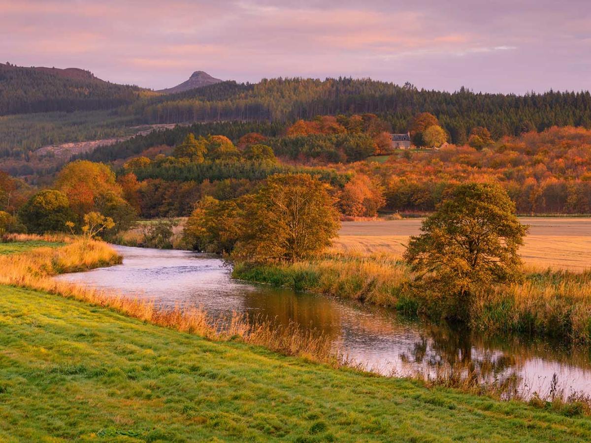 Bennachie in the autumn VisitAbdn-ExpSept26-Bennachie-139-DS-28