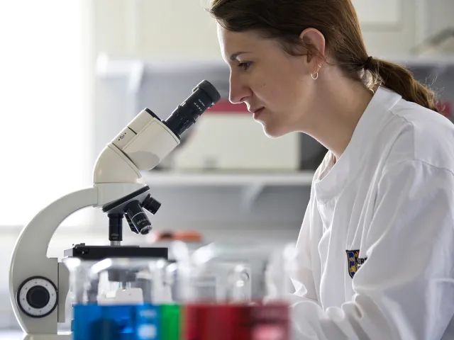 Person looking through a microscope