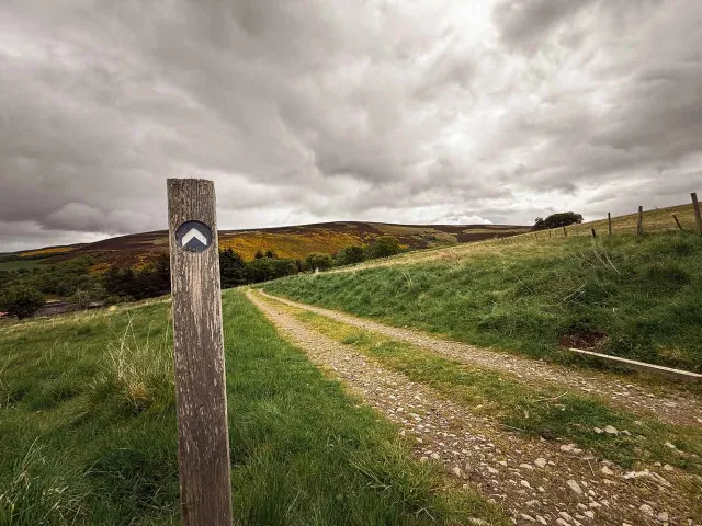 Outdoor walk area in field