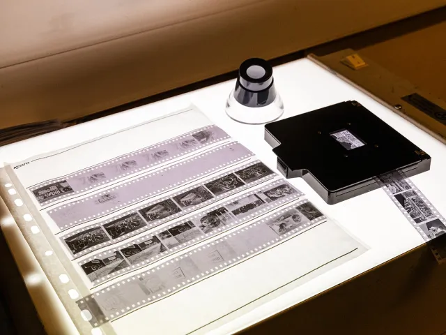 film negatives on a light box