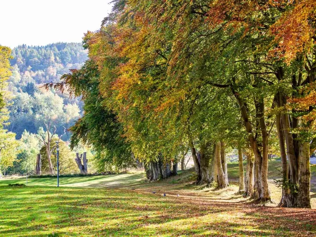 RGU campus in the autumn