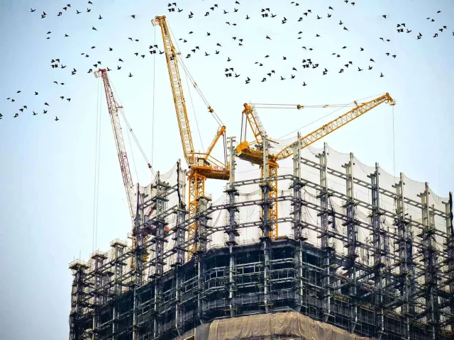 birds flying past cranes on top of an unfinished building