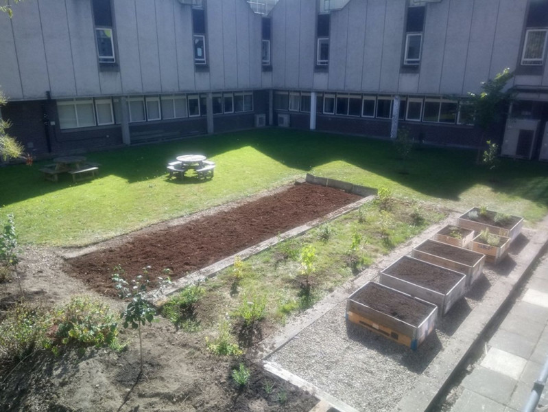 Image shows garden project in the Garthdee House Annex Quad area.