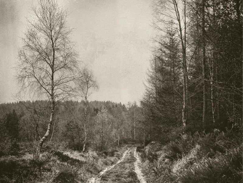 Paul Nicol Photography Gray’s Digital Degree Show 2021 RGU