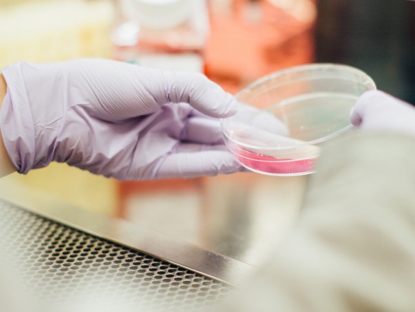 Petri dish, it's science! Petri dish, it's science!