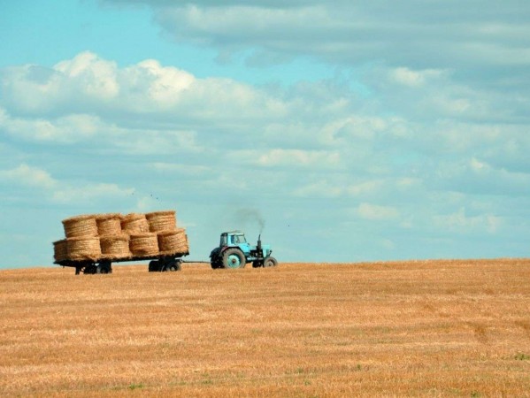 A tractor alone on the field A tractor alone on the field