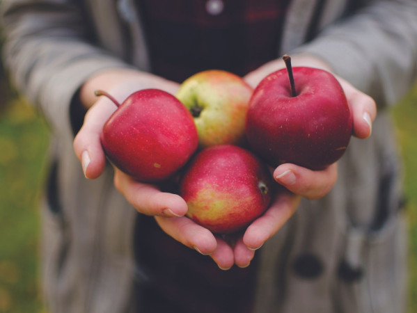 Hands holding four apples