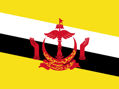 Brunei flag