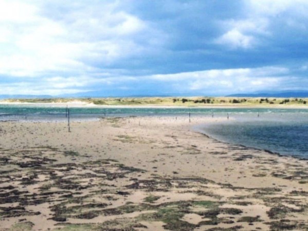 Culbin Dunes Culbin Dunes