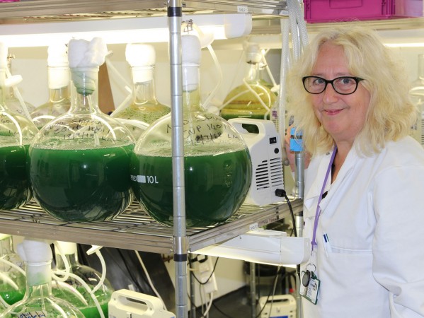 Leading microbiologist brings millions to North-east to protect public health